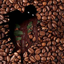 B00giemonster03-Marlowes_Lethal_Blend icon