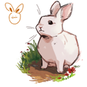 BBackHeaven-BBackHeaven icon