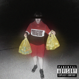 BDZP-DzidziaSuty icon