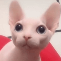 BINGUSLUVRSINC-BingusLuvrsInc icon