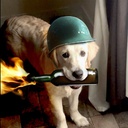 BRODESLlc-BRODES_Suits icon