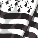 BZH_PW-TV_Loader_BZH_pw icon