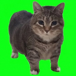 BakaMODs-CatBrainRot icon