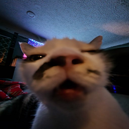 Bakaaaa-BakasGeneralModpack icon