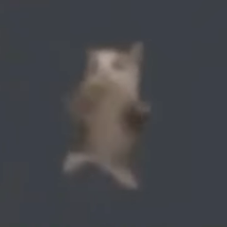 Bakirkoyakilhastanesi-Namea icon