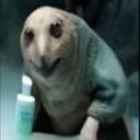 Baldness-TheGrandGoon icon