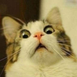 Balleper69-mods_for_dumb_people_who_cant_create_mods icon