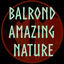 Balrond-balrond_amazing_nature-0.5.9 icon