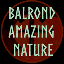 Balrond-balrond_amazing_nature-0.8.4 icon