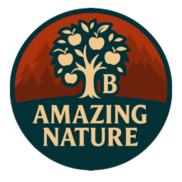 Balrond-balrond_amazing_nature icon