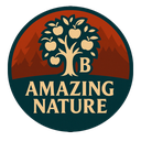 Balrond-balrond_amazing_nature-1.2.4 icon