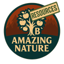 Balrond-balrond_amazing_nature_resource icon