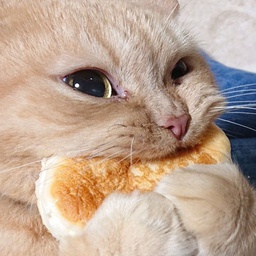 BananaApes-InsaneModpack icon