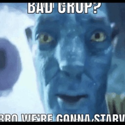 BeanCorp-Noodle_gang icon