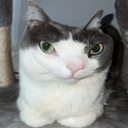 BeanMen-Blackmen_Only icon