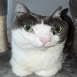 BeanMen-Blackmen_Only icon