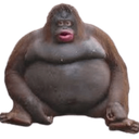 Bear992299-Average_Rounds_Modpack icon