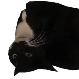 BerriesKat-XylontKat icon