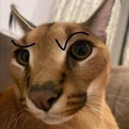 BestGorrila765-BongusBoomboxPack icon