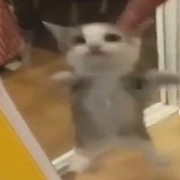 Bidda-Modpack_for_the_peeps icon