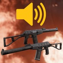Biddin-Insurgency_Sandstorm_ASVAL_Sounds icon