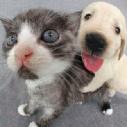 BigBilly-EnableRundownSpecificWeapons icon