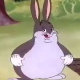 BigChungus-BigChungusModPack icon