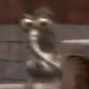 BigJay-Big_Gay_Pack icon