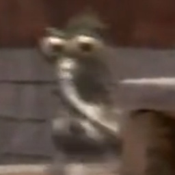 BigJay-Big_Gay_Pack icon