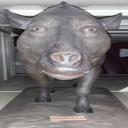 Big_Booties-BoysLTmodpack icon