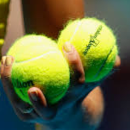 Big_Brain_69-BallsIncorporated icon