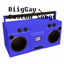BiigGay-BiigGay_Custom_Songs-1.3.0 icon