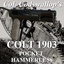 Billiam_J_McGoonigan-Colt_1903_Pocket_Hammerless-1.0.0 icon