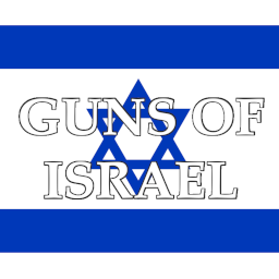 Billiam_J_McGoonigan-Guns_of_Israel icon