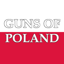 Billiam_J_McGoonigan-Guns_of_Poland icon