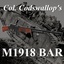 Billiam_J_McGoonigan-M1918_BAR_WWI-1.0.0 icon