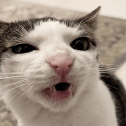 Bithead-FeralCatPack icon