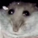 Blaziax_dev-silly icon