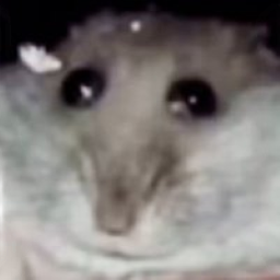 Blaziax_dev-silly icon