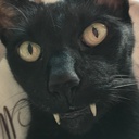 BleckSquad-Crying_and_Feeding_Modpack icon