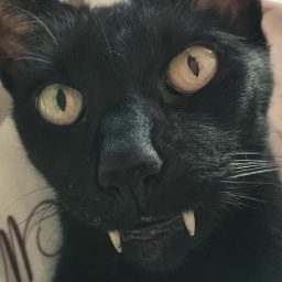 BleckSquad-Crying_and_Feeding_Modpack icon