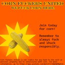 Blizzard_Boyz-Blizzard_Boyz_Modpack icon