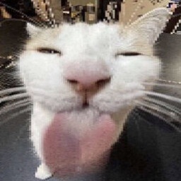 BluBunsStudio-SilliestCompany icon