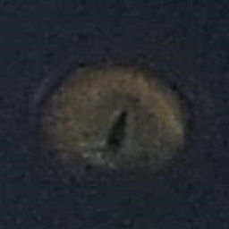 BlubBlubBlub-Ori icon