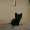 Boger-CHicken_Boger icon