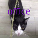 BoneZone-TheBoneOffice icon