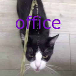 BoneZone-TheBoneOffice icon