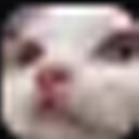 Bonjing-TropaNiPauPaintings icon