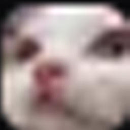 Bonjing-TropaNiPauPaintings icon