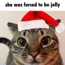 Bonkierr-BonksMiniModpack icon